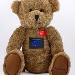 bear