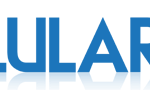 logo-selular-id90
