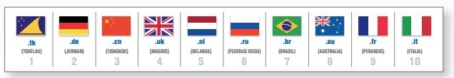 Rincian Country Code TLD (ccTLD) terbesar berdasarkan zona.