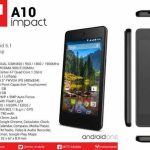 mito impact