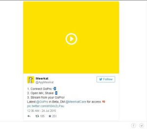 meerkat-twitter