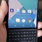 blackberry-venice