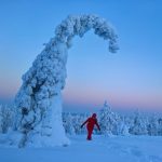 natgeo-4
