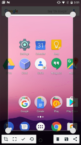 Partial-Screenshot