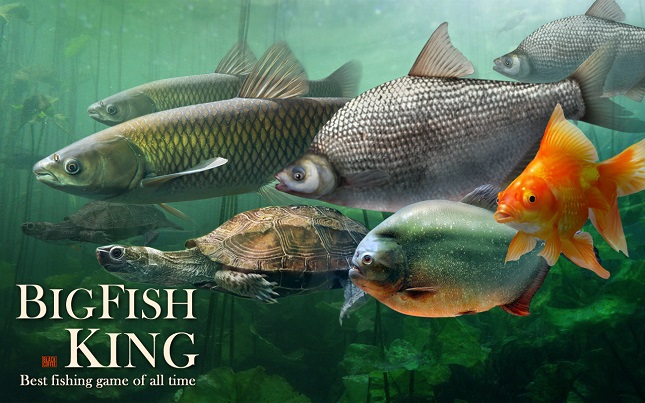 bigfish-king_1