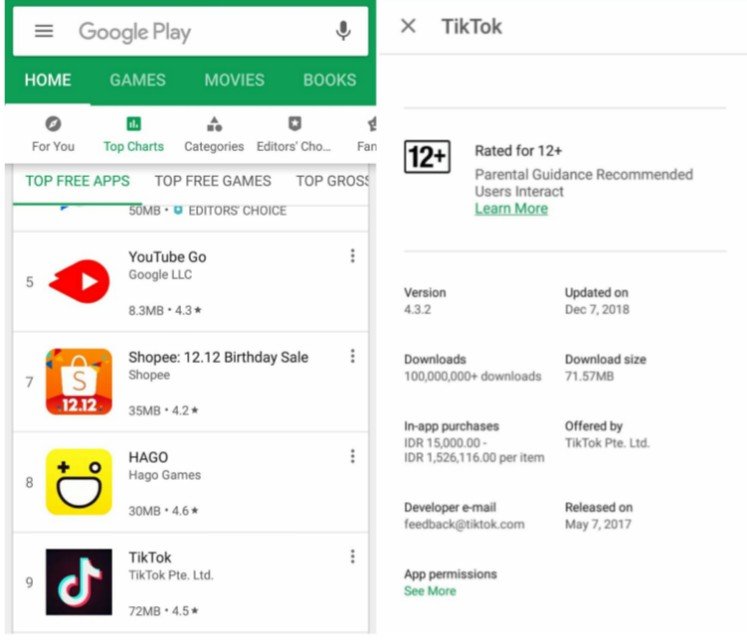 TikTok Play Store