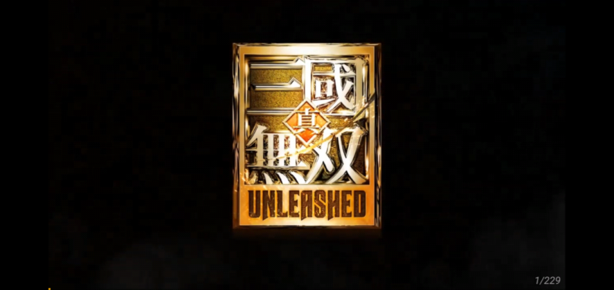 Dynasty Warrior Unleashed