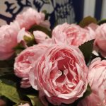 Lensa Makro Redmi Note 8, Hasil Foto Redmi Note 8