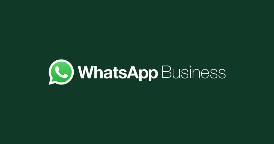 Fitur WhatsApp Business Search Bakal Lebih Awal Sapa Indonesia