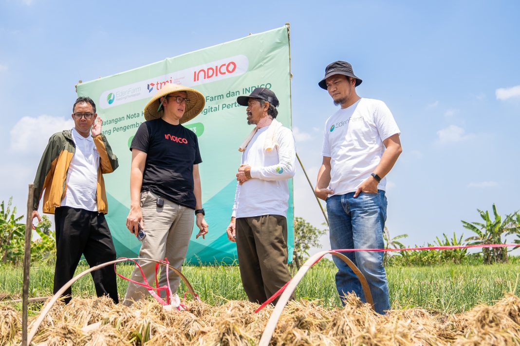 EdenFarm Gandeng Indico Untuk Digitalisasi Teknologi Pertanian
