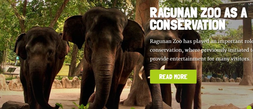 Cara pesen tiket Kebun Binatang Ragunan secara online di handphone.