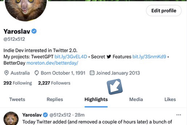 Mirip Punya Instagram, Twitter Rilis Highlights