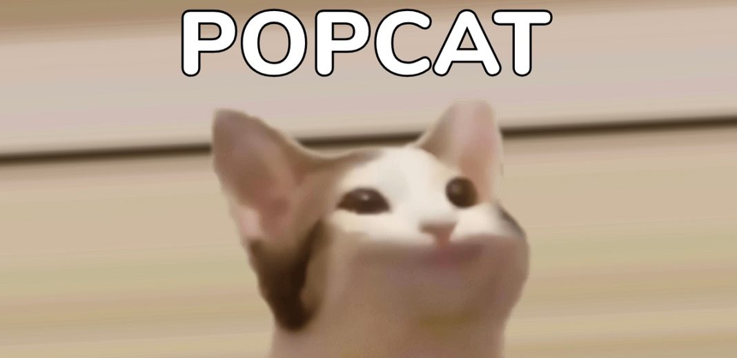 Game Popcat tranding