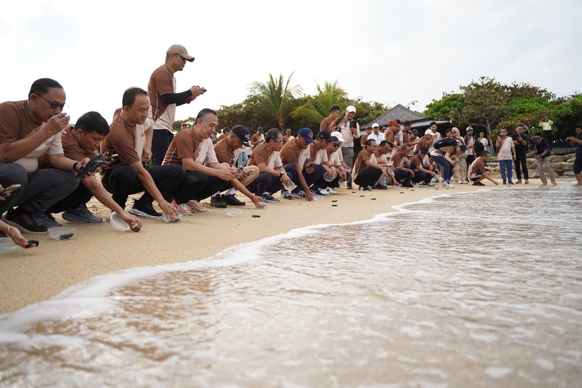 Pelepasan tukik yang dilakukan Group Business Development (GBD) Telkom Indonesia bersama anak perusahan, Finnet di pantai Nusa Dua, Bali beberapa waktu lalu.