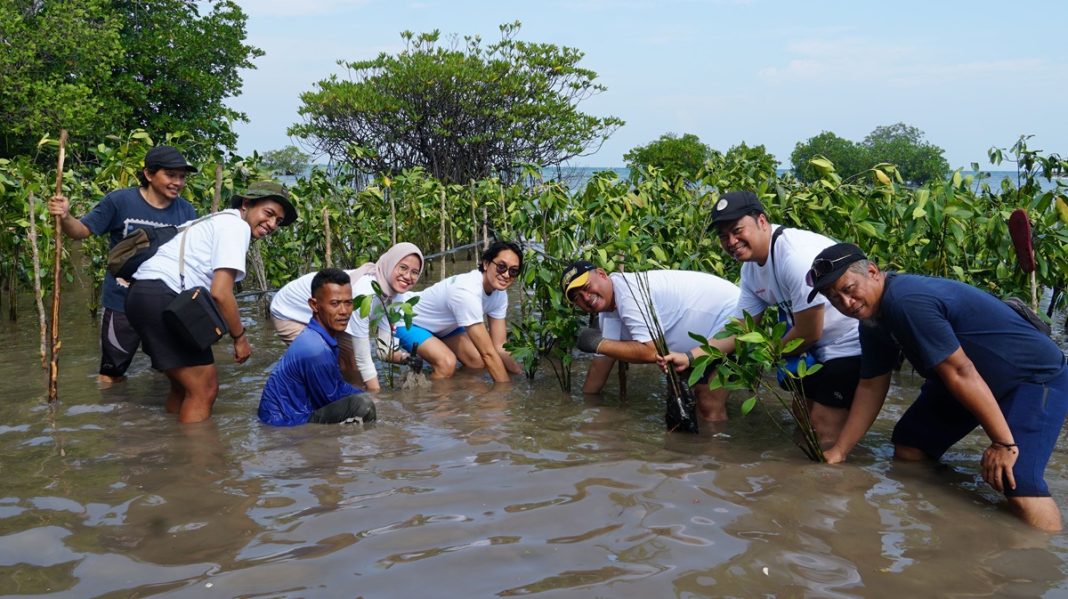 Perwakilan Sharp bersama masyarakat setempat melakukan penanaman bibit pohon mangrove di Pulau Tunda