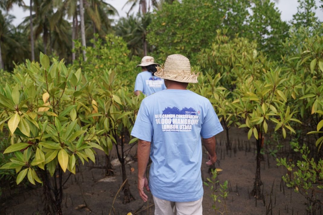 Program restorasi ekosistem pesisir melalui penanaman 10.000 bibit mangrove jenis Avicennia Marina di kawasan terdampak abrasi Sigar Penjalin, Kabupaten Lombok Utara, Nusa Tenggara Barat, beberapa waktu yang lalu.