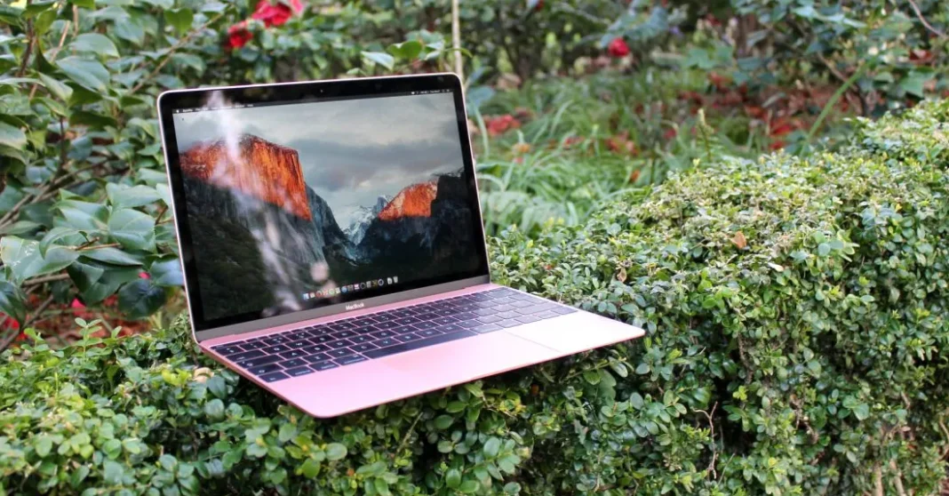 The MacBook (2016) 12-inch sat on a bush