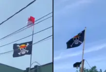 Viral Pengibaran Bendera One Piece Jelang HUT RI, Apa Maknanya?