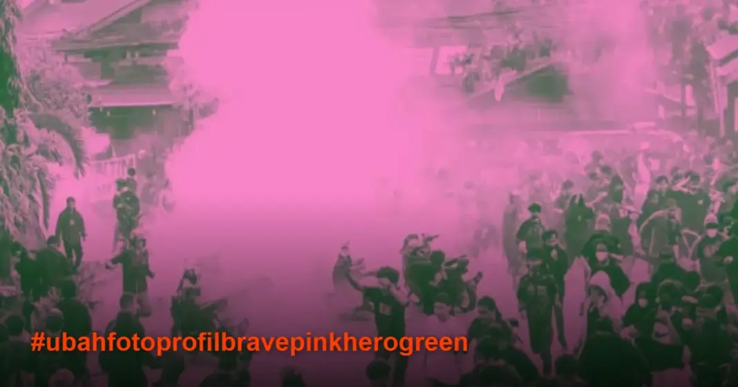 Cara Ubah Foto Profil Brave Pink dan Hero Green, Simbol Perlawanan