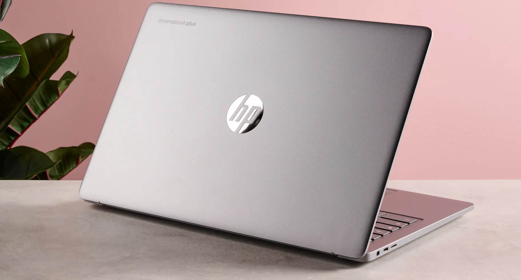 Back of opened lid of HP Chromebook Plus 15.6-inch on table with pink wall and plant in background
