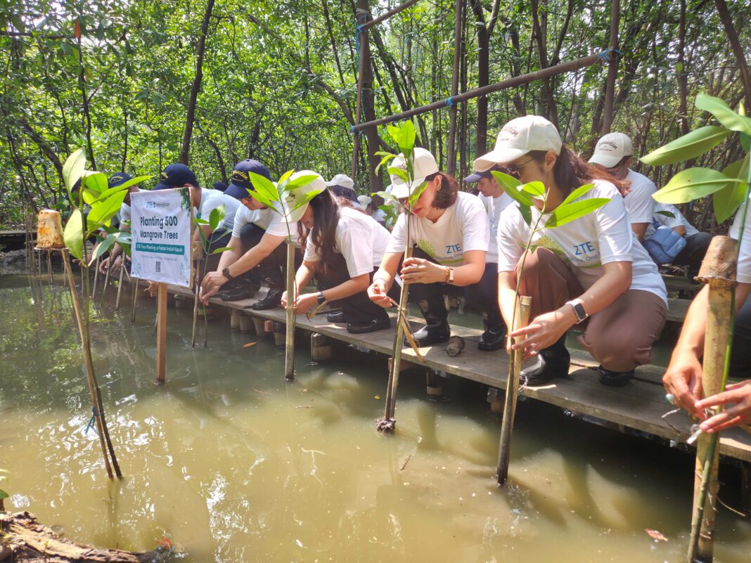 ZTE Tanam 500 Mangrove di PIK untuk Masa Depan Digital Ramah Lingkungan