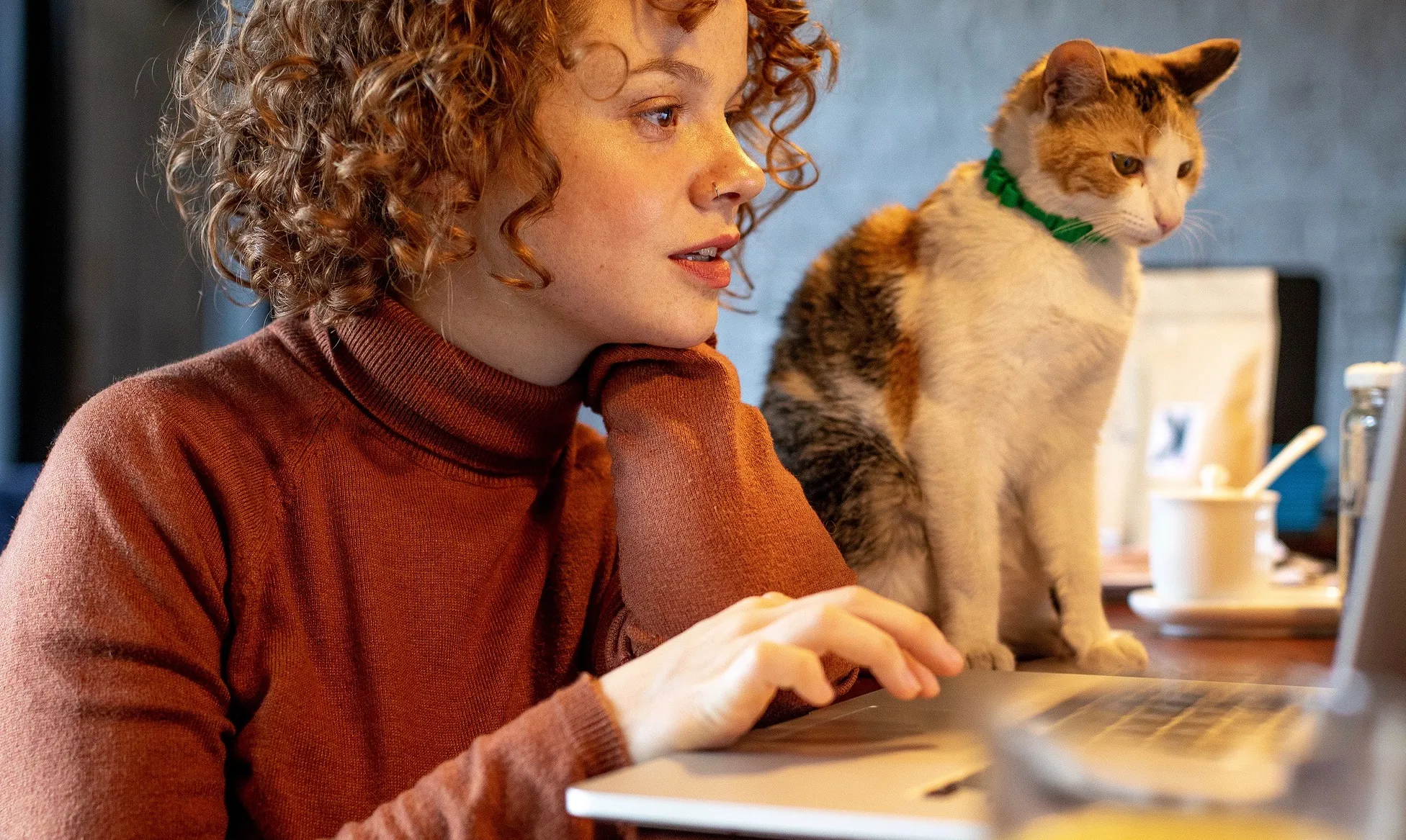 Young woman with cat using laptop