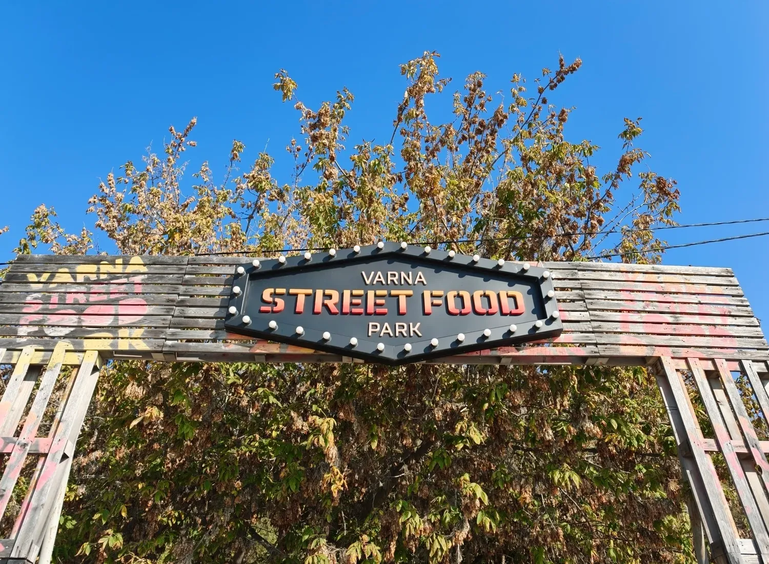 Oppo Find X9 Pro - Oppo Find X9 Pro vs iPhone 17 Pro Max camera comparison: Does Apple stand a chance?