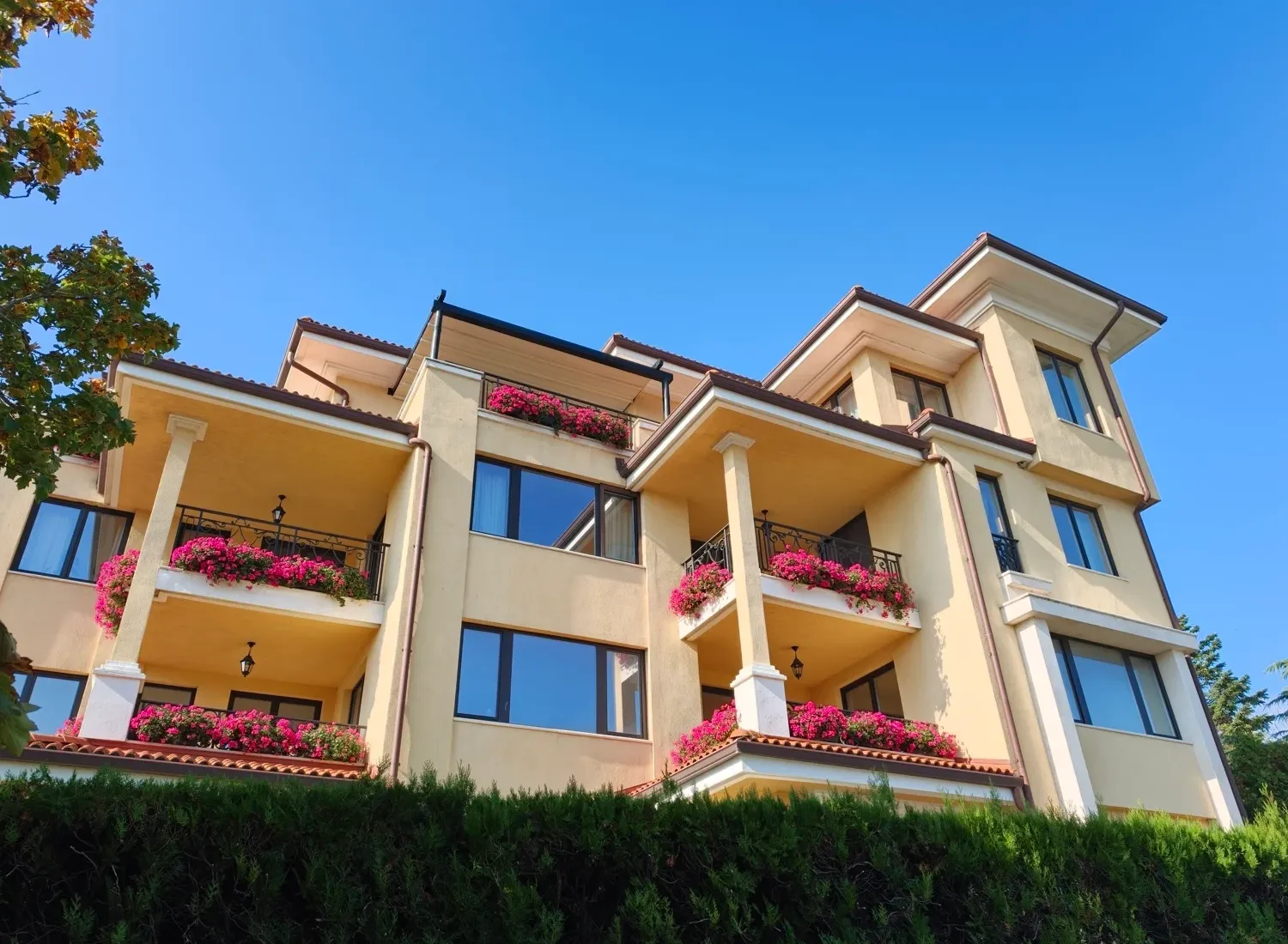 Oppo Find X9 Pro - Oppo Find X9 Pro vs iPhone 17 Pro Max camera comparison: Does Apple stand a chance?