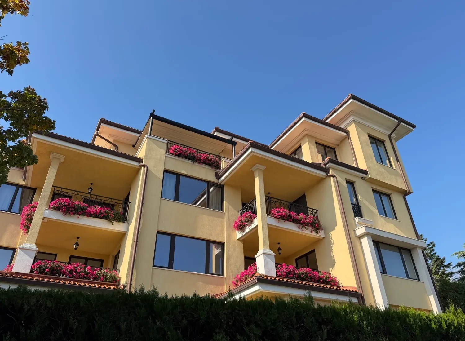 iPhone 17 Pro Max - Oppo Find X9 Pro vs iPhone 17 Pro Max camera comparison: Does Apple stand a chance?