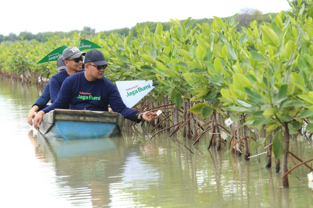 Telkomsel Jaga Bumi Carbon Offset Fase 3: Tanam 12.731 Pohon Serap 824 Ton Karbon