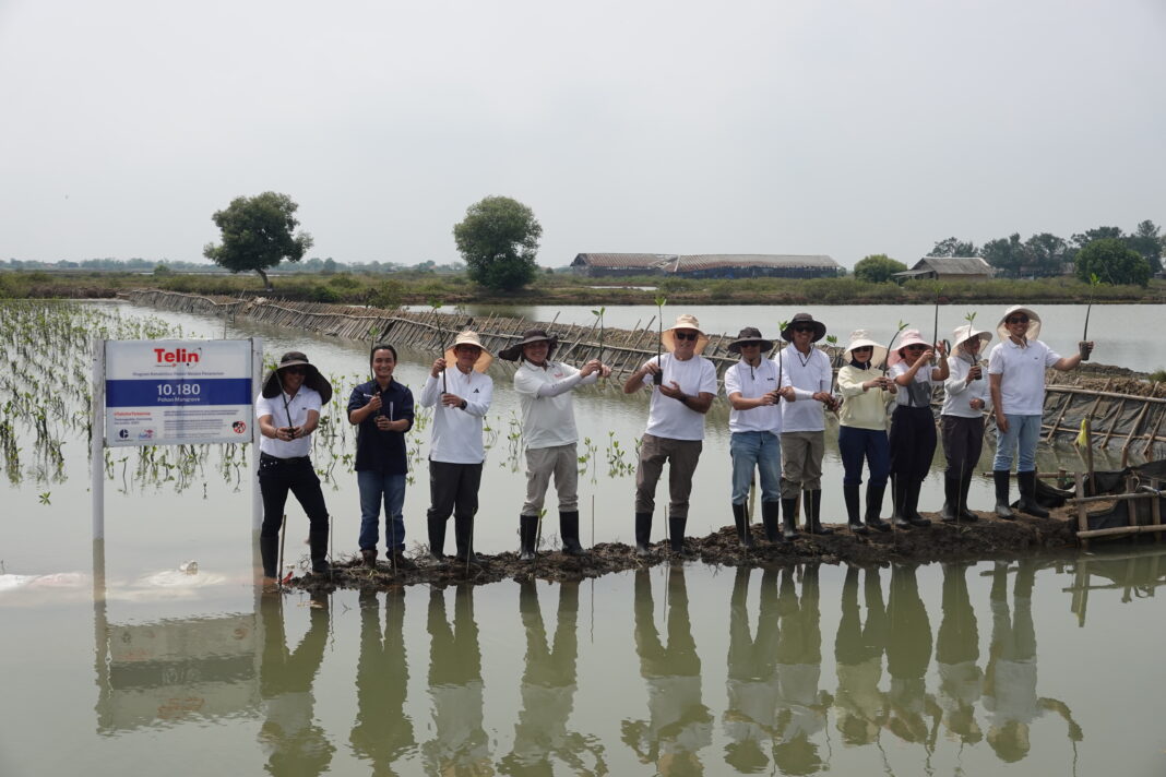 Telin Tanam 10.180 Mangrove untuk Komitmen BATIC 2025