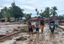 707 Menara BTS Pulih, Korban Banjir Sumatera Kembali Terhubung 707 Menara BTS Pulih, Korban Banjir Sumatera Kembali Terhubung
