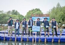 Telkom Earth Mission: Karyawan Sukarela Lestarikan Mangrove Jakarta Utara