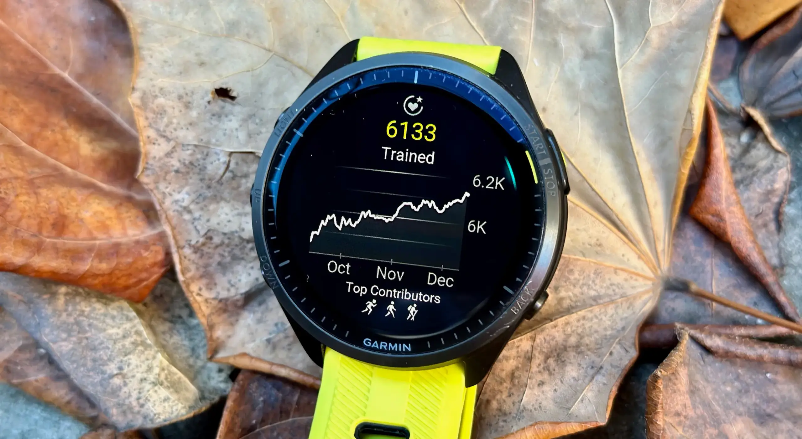 Endurance score on the Garmin Forerunner 965