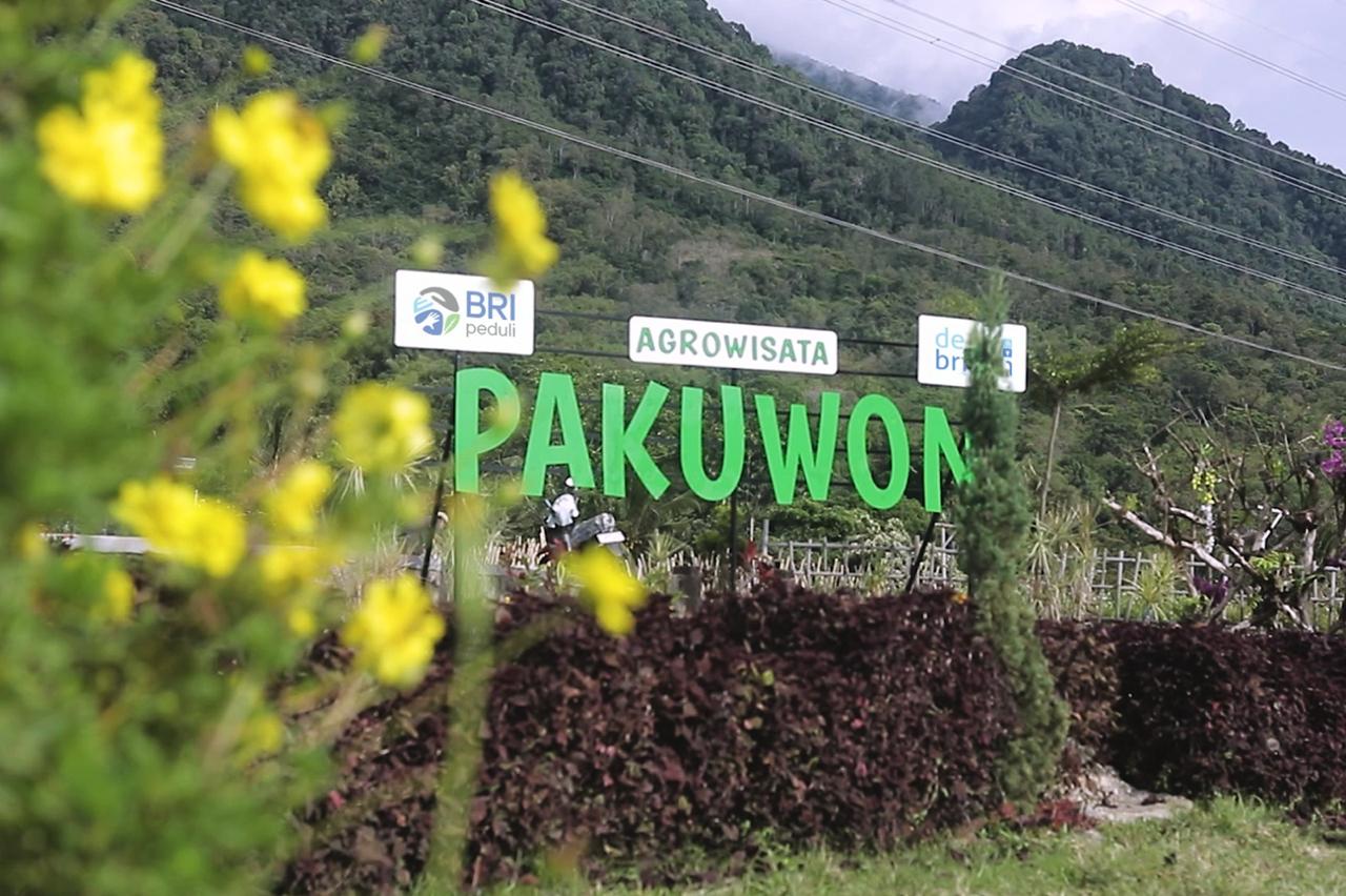 Manfaatkan Teknologi Digital, BRI Sulap Desa Pajambon Jadi Contoh Ekonomi Modern